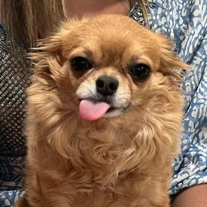 Meet your Posher, Kavya